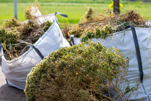Best Office Junk Removal  in Mountain Iron, MN